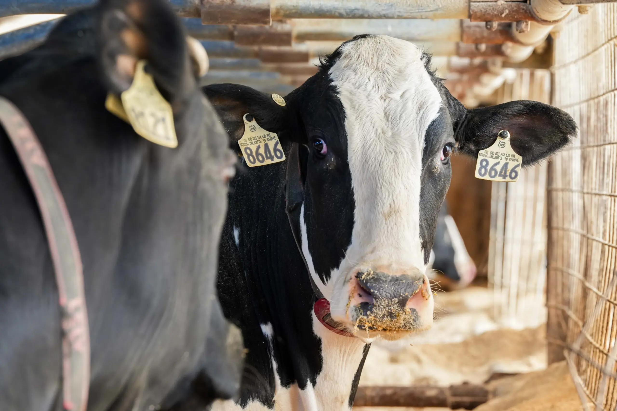 Wisconsin’s Sartori Cheese expands global footprint with U.S. company Coupang