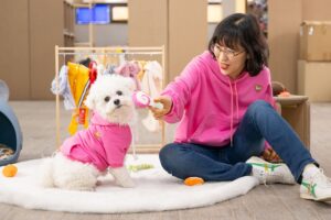 One smart Cookie: Dog inspires owner to launch her own pet apparel company