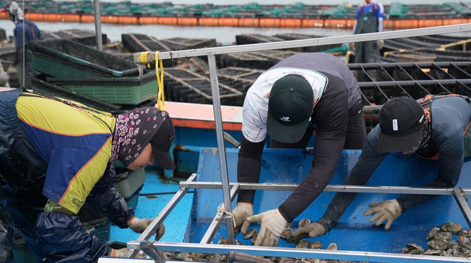 How Coupang’s Rocket Fresh helped abalone farmers and fishers avert crisis