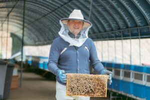 Sweet as honey: Beekeepers harvest the incredible benefits of Coupang and Rocket Growth
